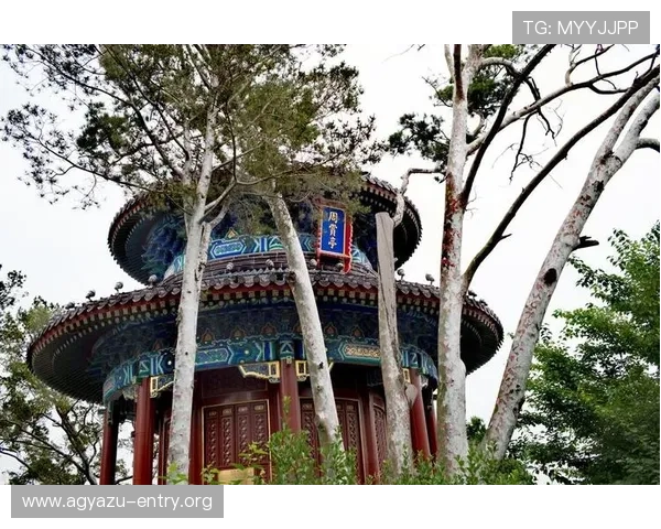 如何顺利完成AG游乐城会员登录，确保账户安全与顺畅体验